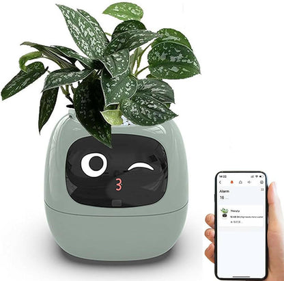 HelloMi - Smart Pot