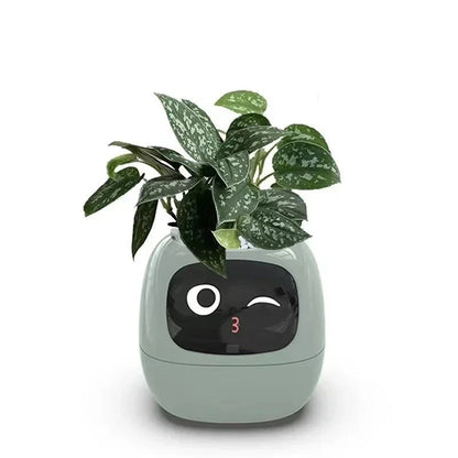 HelloMi - Smart Pot