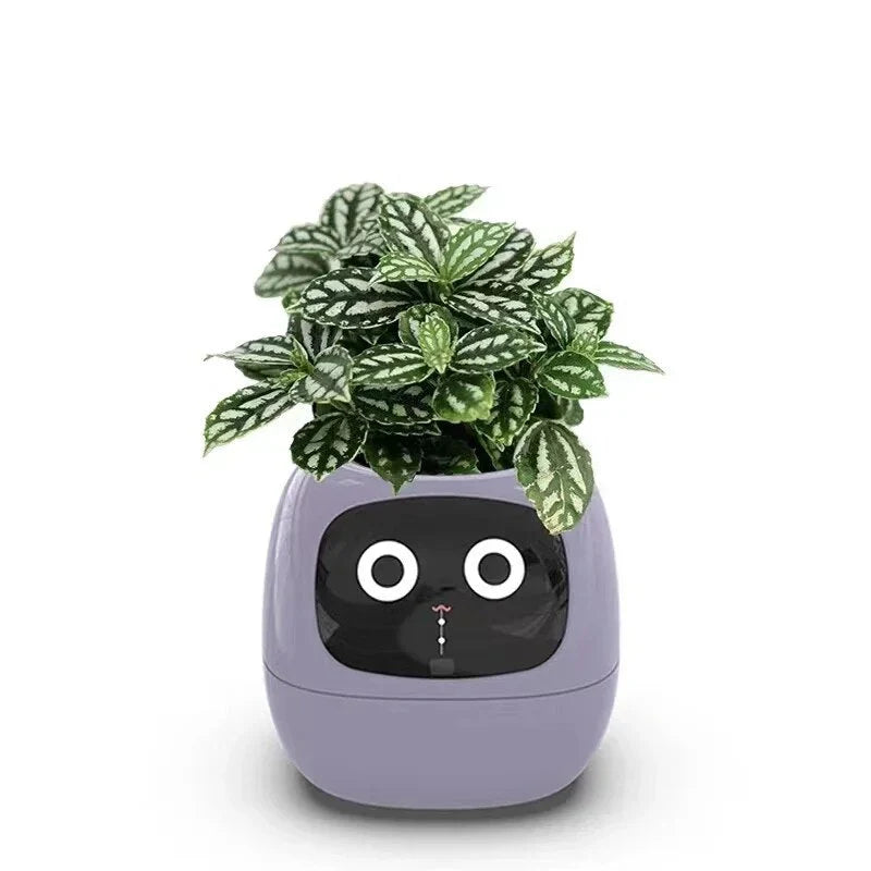 HelloMi - Smart Pot