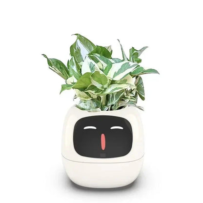 HelloMi - Smart Pot