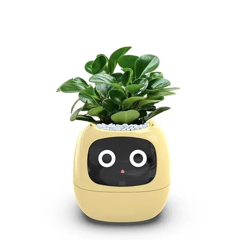 HelloMi - Smart Pot